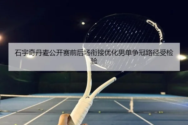 石宇奇丹麦公开赛前后场衔接优化男单争冠路径受检验 - sports